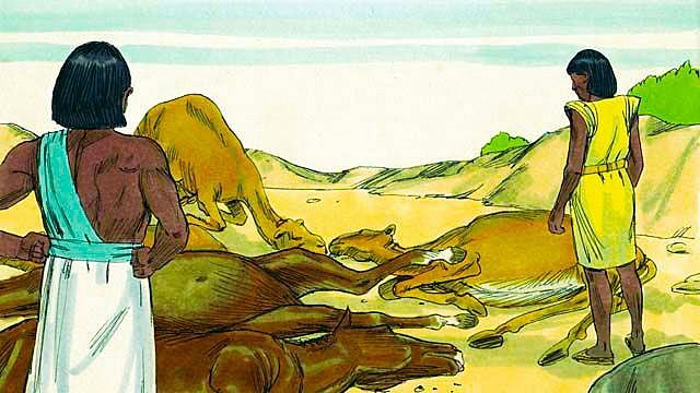 Quinta Plaga de Egipto. Alianza