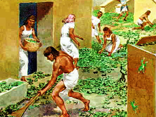 Segunda Plaga de Egipto. Alianza