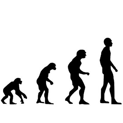 Timeline: Espècies evolució humana