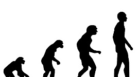 Timeline: Espècies evolució humana