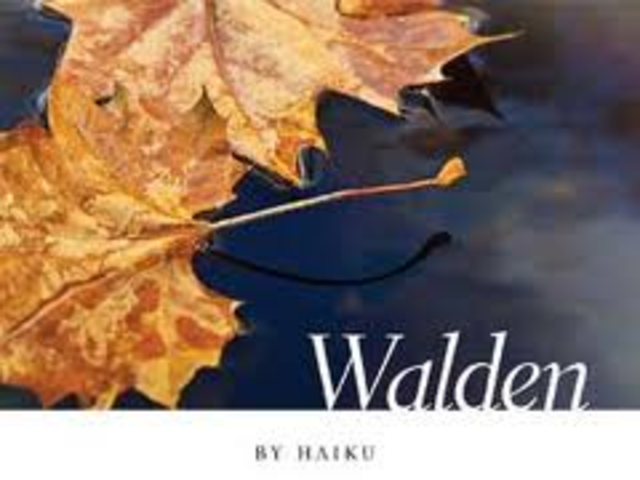 Walden is published