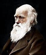 Origen de las especies