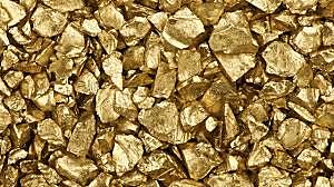 California Gold Rush