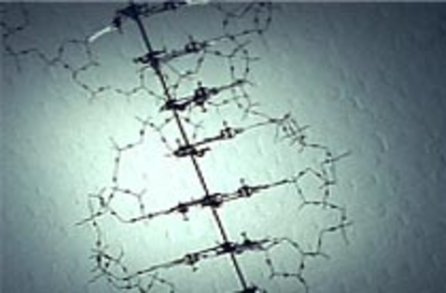 DNA Structure Discovered