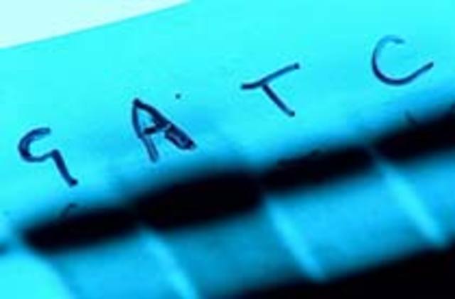 Sequencing of DNA Occurs