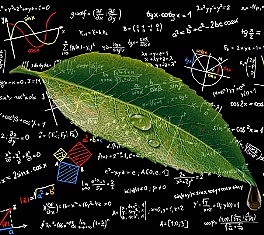 Siglo XX La Matemática