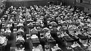 Virus de la Gripe asiática