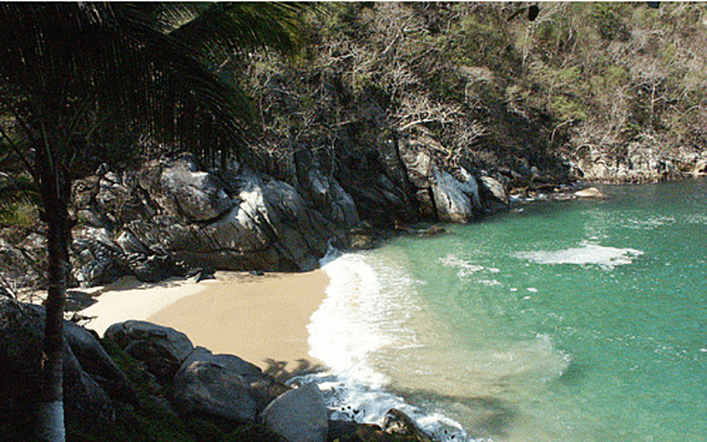 Caída de visitantes en Puerto Vallarta