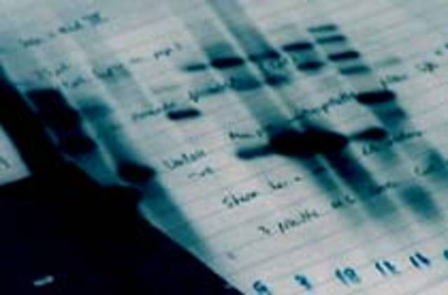 Restriction Enzymes Isolated