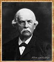 De nucleina a ácido nucleico