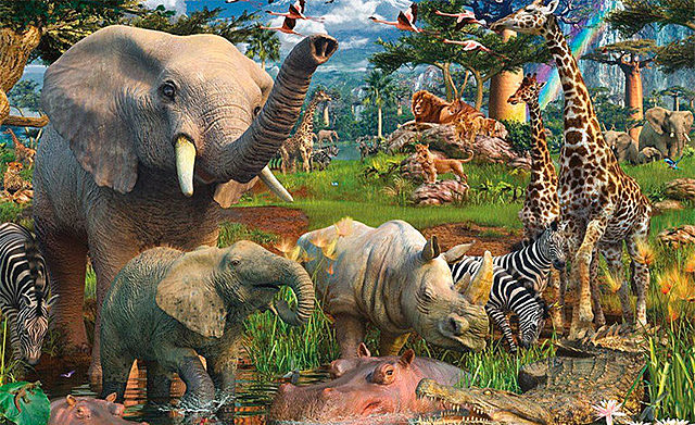 The importance of animals