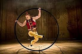 Cirkus cirkor, Suecia