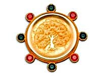 Received Kyoto Prize in Advanced Technology