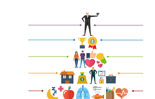 Modelo de "satisfacción de necesidades básicas"