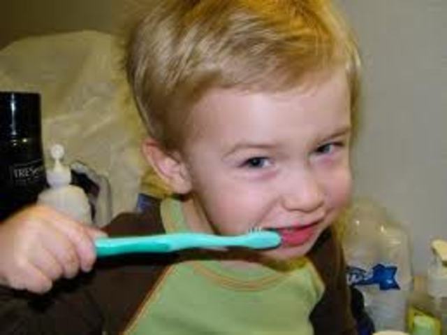 25-30 Months Physical