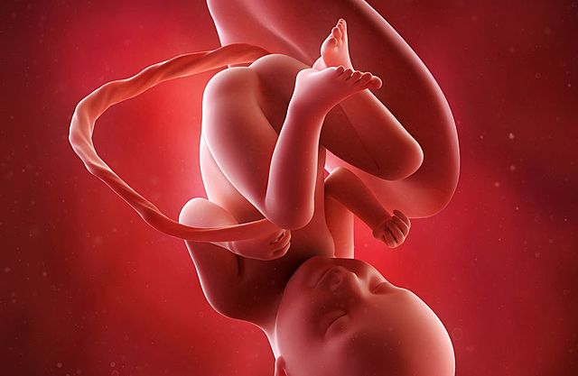 8° mes del embarazo.