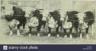 Revolución agricola