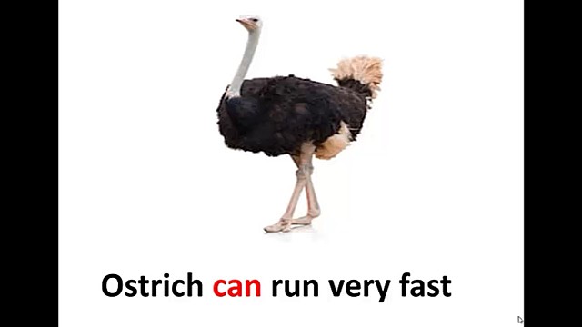 What some animals CAN and CAN'T do !