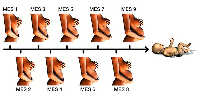 Cuarto mes. Inicio de segundo Trimestre.