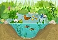 lago como ecosistema