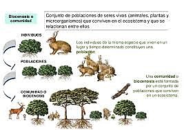 imagen de comunidades