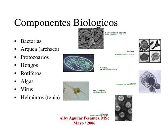 imagen de componentes biológicos