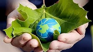 imagen proteccion de los ecosistemas