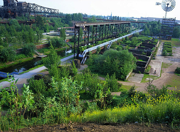Jardín Contemporáneo