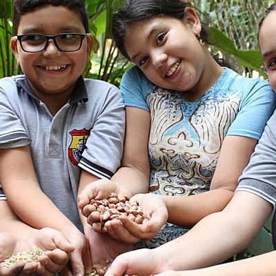 Timeline: LA LUDICA UNA ESTRATEGIA PEDAGOGICA    ttps://www.eltiempo.com/vida/educacion/la-importancia-del-juego-en-los-procesos-de-aprendizaje-108020