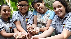 Timeline: LA LUDICA UNA ESTRATEGIA PEDAGOGICA    ttps://www.eltiempo.com/vida/educacion/la-importancia-del-juego-en-los-procesos-de-aprendizaje-108020