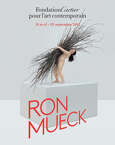 Prof - Rendre compte d'un processus / Fondation Cartier pour l’art contemporain&nbsp;: «&nbsp;Ron Mueck&nbsp;/ Making-of de l’exposition&nbsp;» (film inédit de 04:29 réalisé lors de la mise en place de l’exposition temporaire ouverte au public du 16 au 29 septembre 2013)