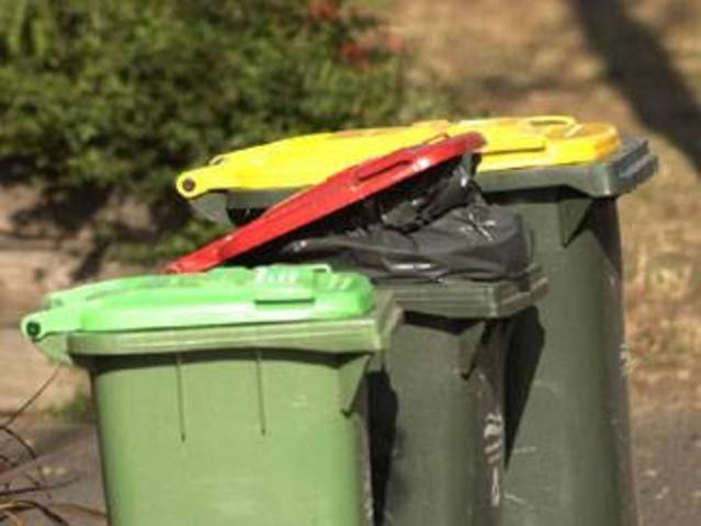 Implementation of smaller household waste bins.