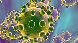 Timeline: Noticias Coronavirus