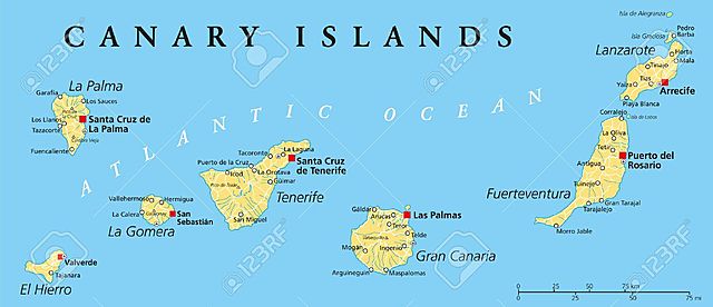 Canarias suma 36 nuevos positivos por coronavirus