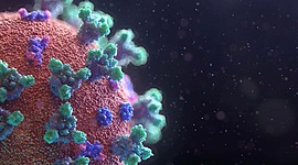 Timeline: COVID-19/NOTICIAS (Amanda Borges Lemes 3ESOB)