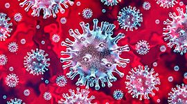 Timeline: Evolución del coronavirus