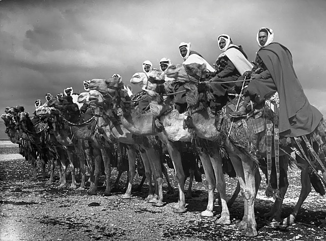 Arab Revolt against the Ottoman Empire Commenses