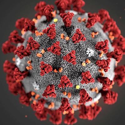 Timeline: Eje cronológico de la evolución del Coronavirus