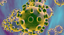 Timeline: Línea del tiempo COVID-19