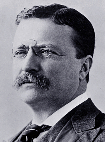 President Theodore Roosevelt Elected