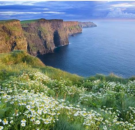 Día 3 Creación; agua, tierra y plantas