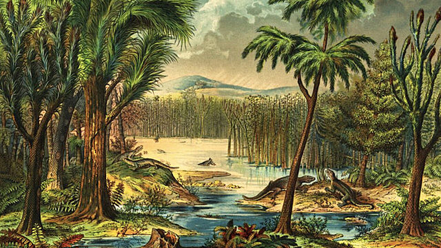 Bosques de helechos gigantes