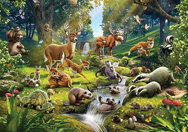 Día 6 Creación, desarrollo de la especie