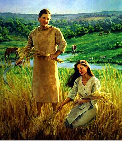 Día 7, el ser humano nace