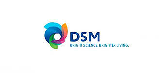 DSM II