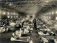 The Flu Pandemic