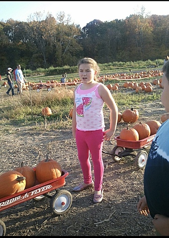 Je Allais Pumpkin Patch