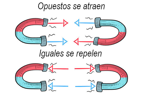 Coloumb midió con su balanza las fuerzas entre los polos de dos imanes.