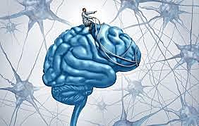 El Examen Internacional para los Trastornos Psicológicos (TP)