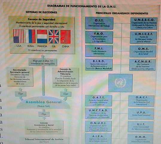 Organismos que componen la ONU.